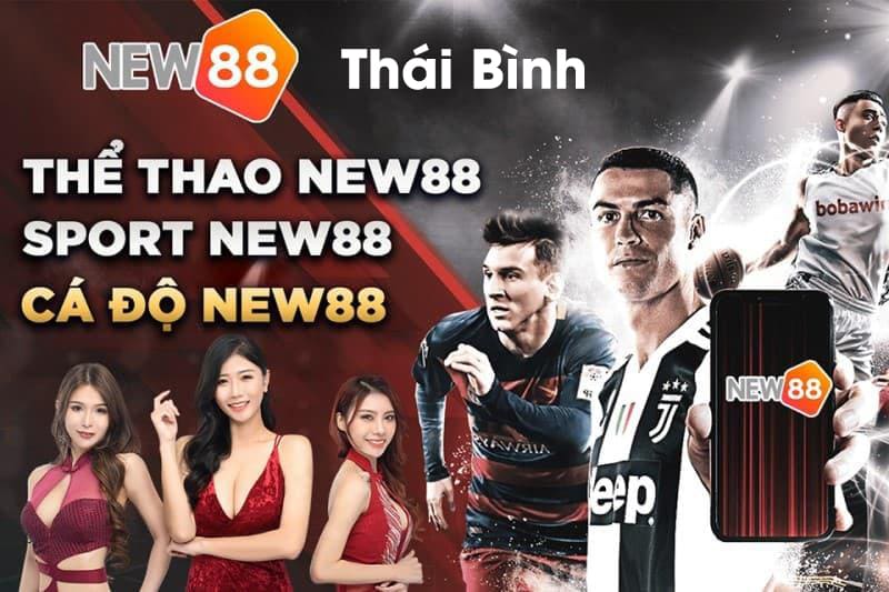Cá cược thể thao tại New88 Thái Bình đa dạng