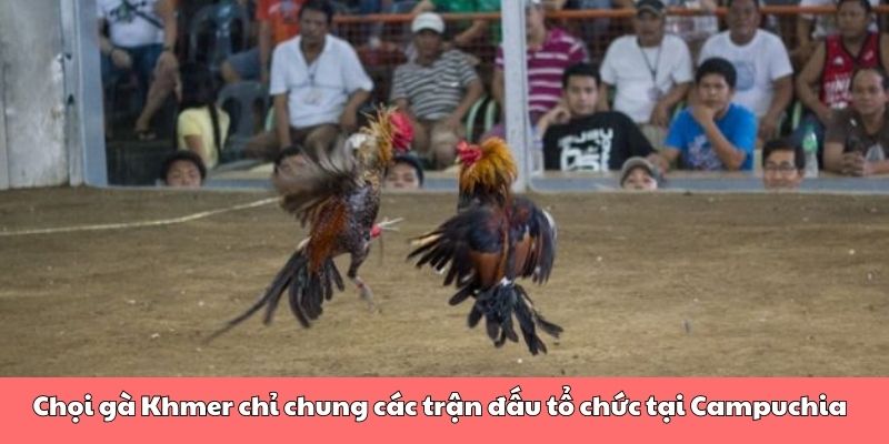 Chọi gà Khmer chỉ chung các trận đấu tổ chức tại Campuchia
