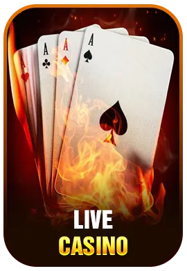 Casino New88